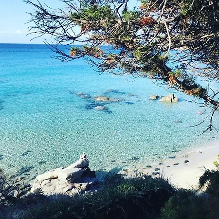 Sardinia Seaview&spapool فيلة *