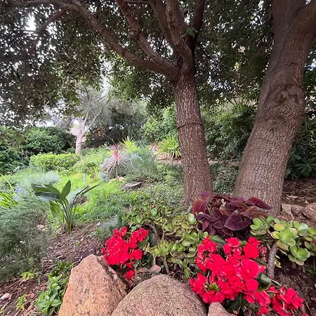 Sardinia Seaview&spapool فيلة