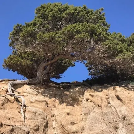 Sardinia Seaview&spapool فيلاّسيمِيوس