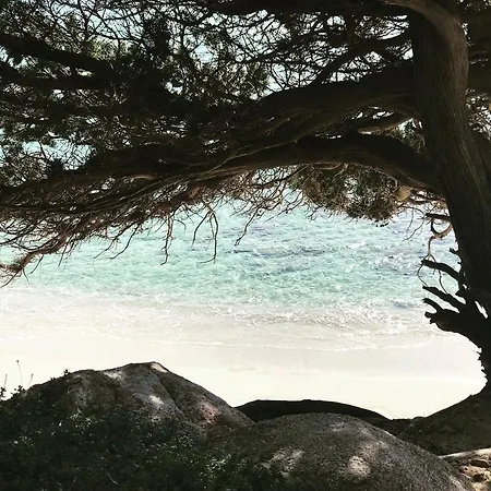 Sardinia Seaview&spapool فيلة فيلاّسيمِيوس
