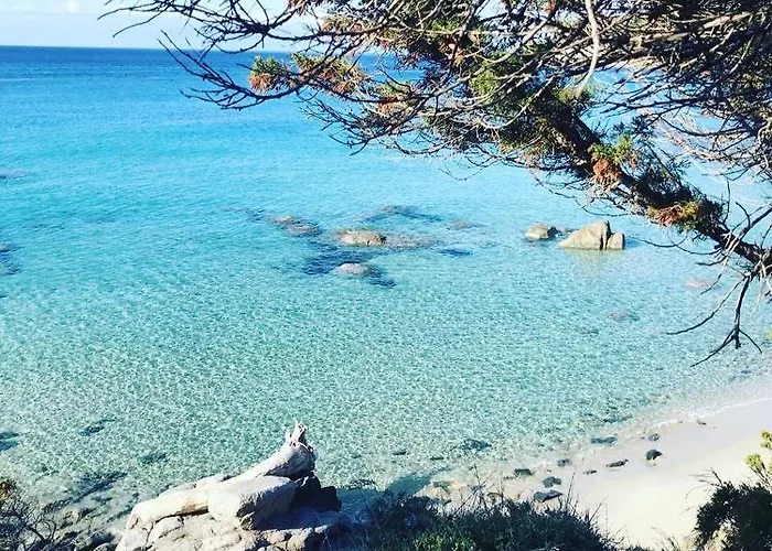 Sardinia Seaview&spapool Villa *