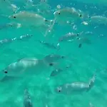Sardinia Seaview&spapool *